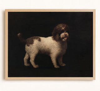 Water Spaniel
