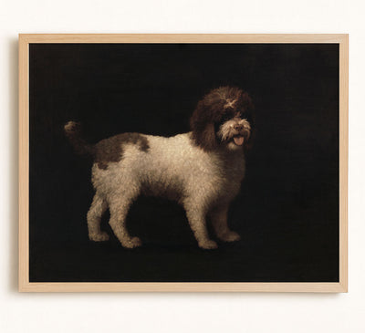 Water Spaniel