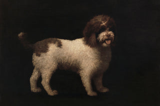 WATER SPANIEL