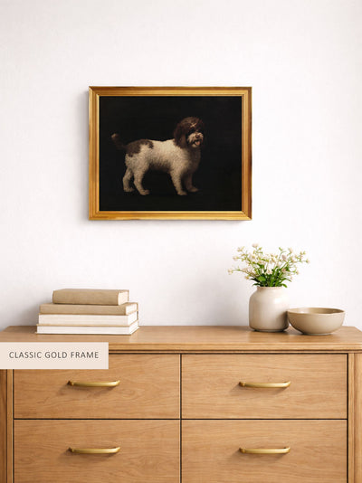 Water Spaniel