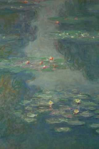 WATERLILIES, 1908