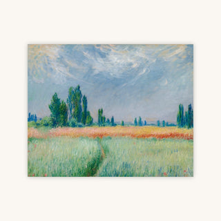 WHEATFIELD — Primary Image