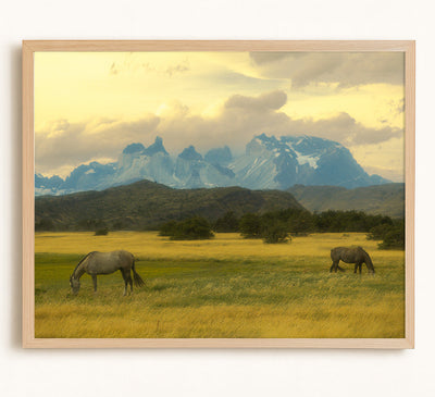 Where the Wild Horses Roam