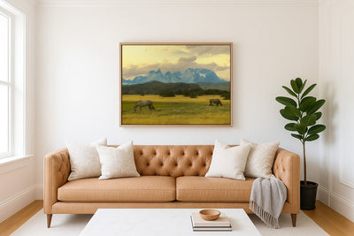 Where the Wild Horses Roam