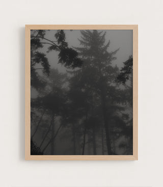 Whispers in the Fog