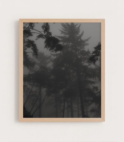 Whispers in the Fog