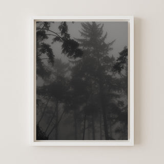Whispers in the Fog