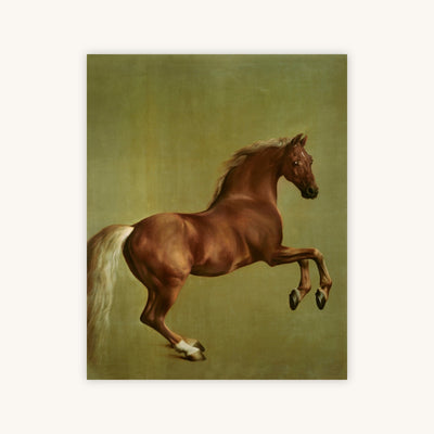 WHISTLEJACKET — Primary Image