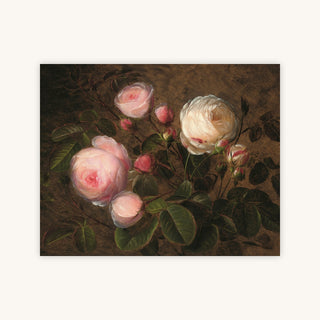 PINK AND WHITE ROSES — Primary Image