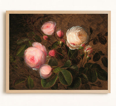 Pink and White Roses