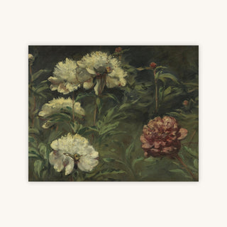 WHITE AND RED PEONIES — Primary Image