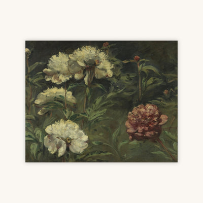 WHITE AND RED PEONIES — Primary Image