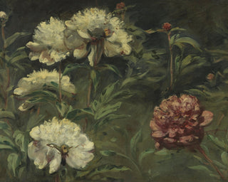 White and Red Peonies