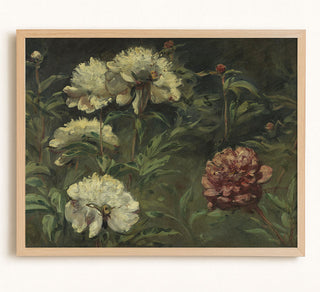 White and Red Peonies