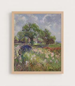 White Barn and Iris Field