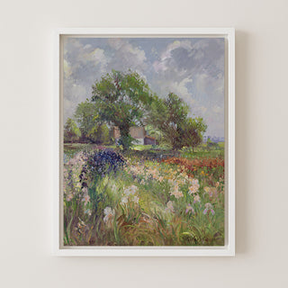 White Barn and Iris Field