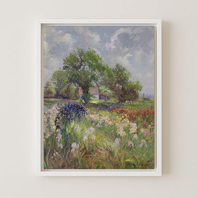 White Barn and Iris Field