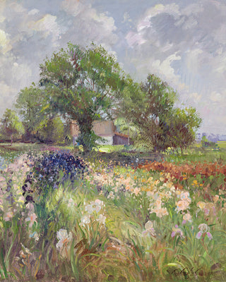 WHITE BARN AND IRIS FIELD - Museum Quality Art