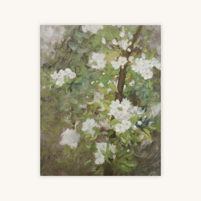 WHITE BLOSSOM — Primary Image