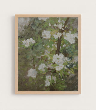 White Blossom