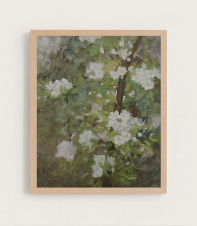 White Blossom