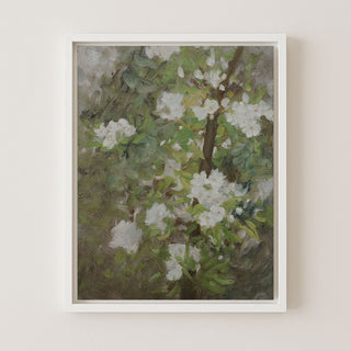 White Blossom