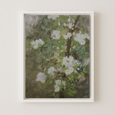 White Blossom