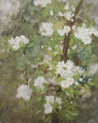 White Blossom
