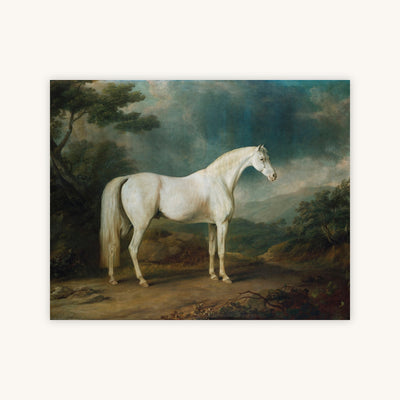 WHITE HORSE IN A WOODED LANDSCAPE — Primary Image