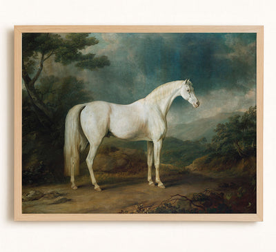 White Horse in a Wooded Landscape