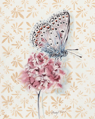 WHITE PEACOCK BRUSH FOOTED BUTTERFLY - Museum Quality Art