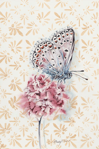 WHITE PEACOCK BRUSH FOOTED BUTTERFLY - Museum Quality Art