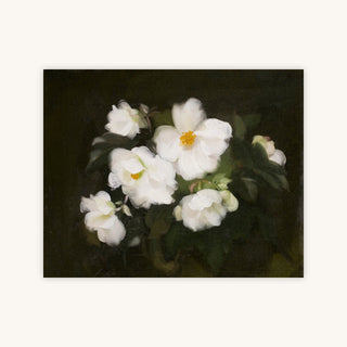 WHITE ROSES, DARK BACKGROUND — Primary Image