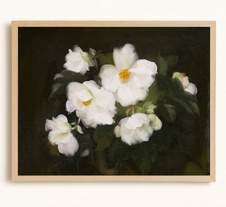 White Roses, Dark Background