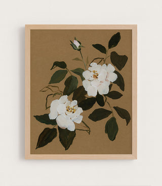 White Roses II