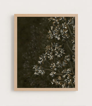 Wild Bloom