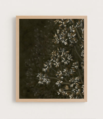 Wild Bloom