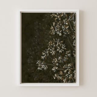 Wild Bloom