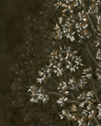 Wild Bloom