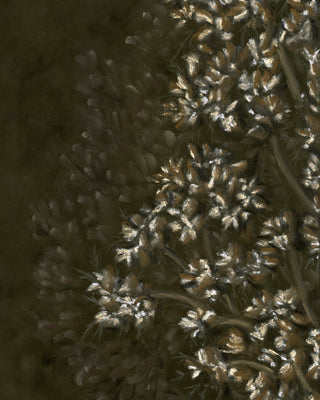 Wild Bloom