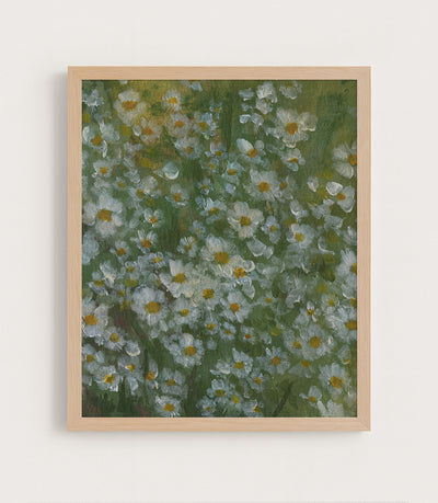 Wild Daisies II