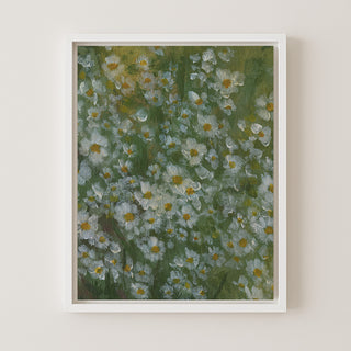Wild Daisies II