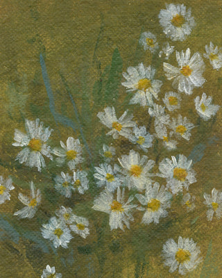 WILD DAISIES 1 - Museum Quality Art
