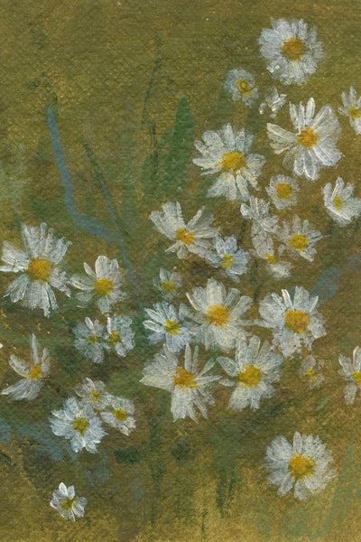 WILD DAISIES 1 - Museum Quality Art