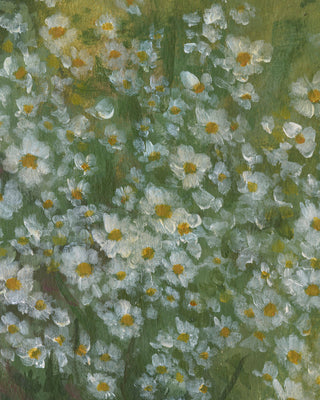 Wild Daisies II