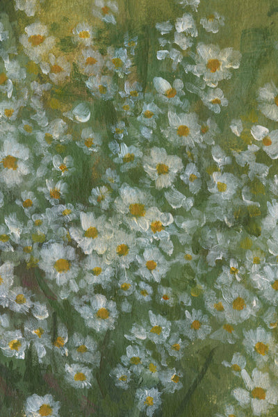 Wild Daisies II