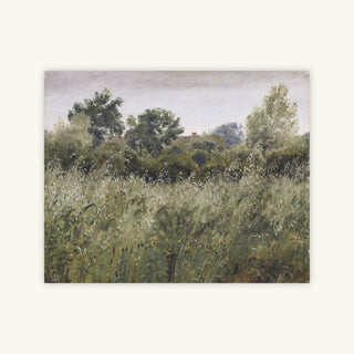 WILD FIELD — Primary Image