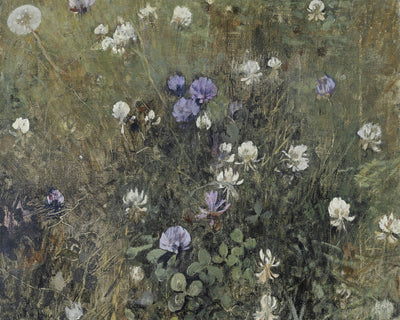 Wildflowers
