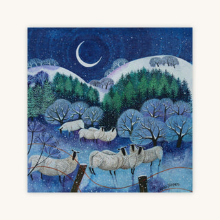 WINTER DOWNLAND SHEEP — Primary Image