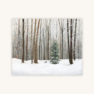 WINTER FOREST — Primary Image